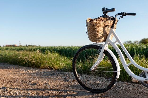 Bicicleta elegante en la naturaleza