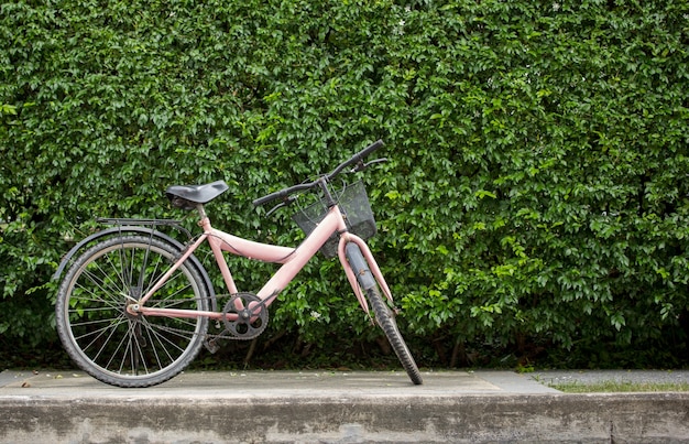 Bicicleta en la pared de la hoja de fondo