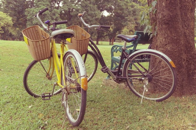 Bicicleta en el parque. Imágenes de estilo de efecto retro vintage.