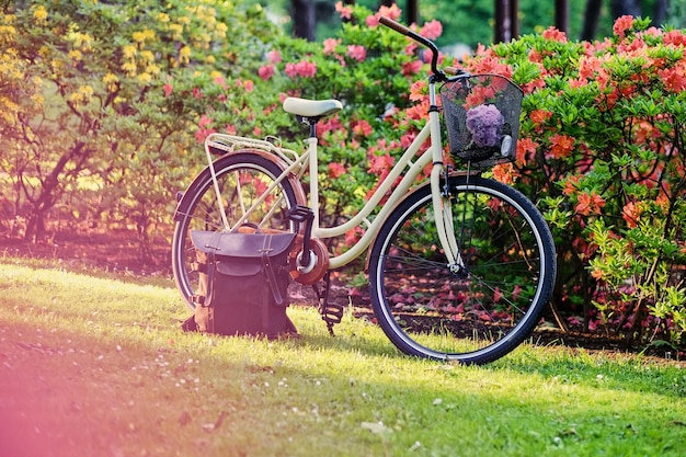 Bicicleta retro en un parque.