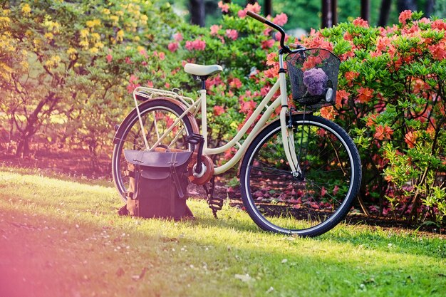 Bicicleta retro en un parque.