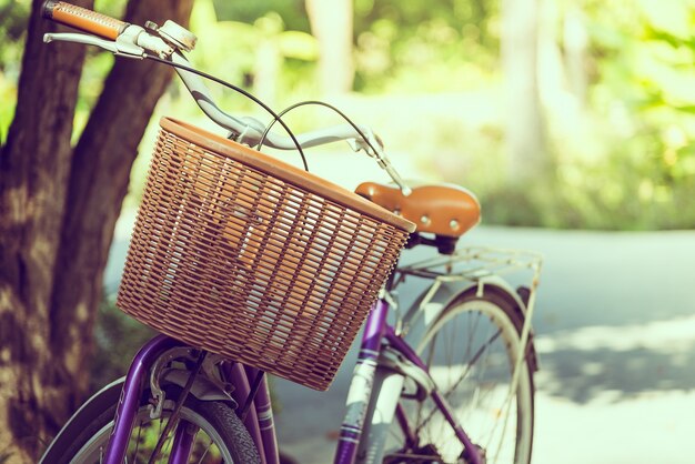 bicicleta de la vendimia