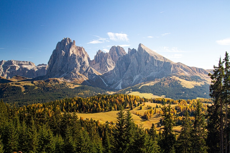 Bidikan indah perbukitan berumput yang ditutupi pepohonan di dekat pegunungan di Dolomites Italia