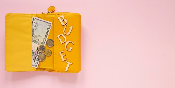 Foto gratuito billetera plana con dinero
