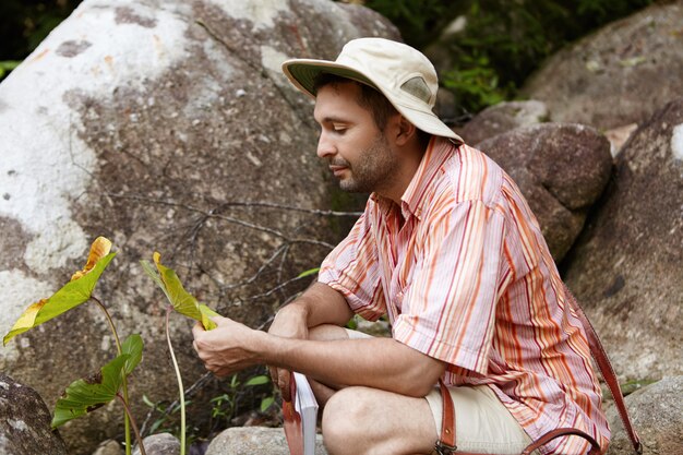 Biólogo barbudo con sombrero sentado entre rocas y sosteniendo hojas de plantas verdes con manchas, mirando con expresión preocupada mientras las examina en busca de enfermedades, realizando estudios ambientales