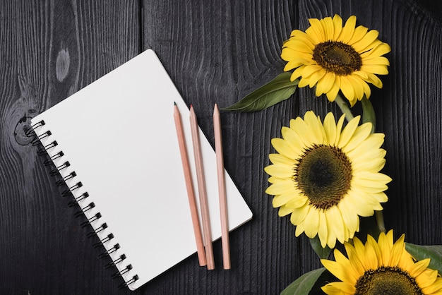 Bloc de notas espiral con tres lápices de madera con girasoles en el escritorio de madera