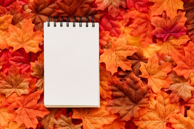 Bloc de notas en el fondo de hojas de otoño
