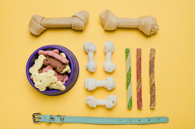 Bocados y collar para perros dentales