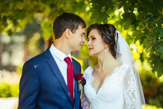 Boda caminando en la naturaleza