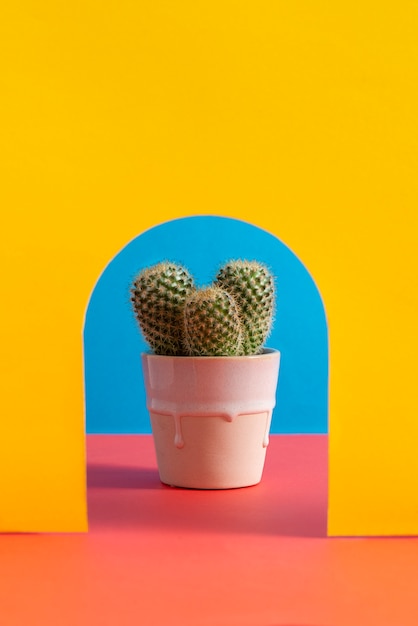 Bodegón de cactus