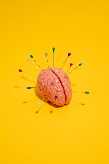 Foto gratuita bodegón con cerebro humano