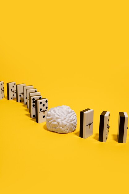 Bodegón con cerebro humano