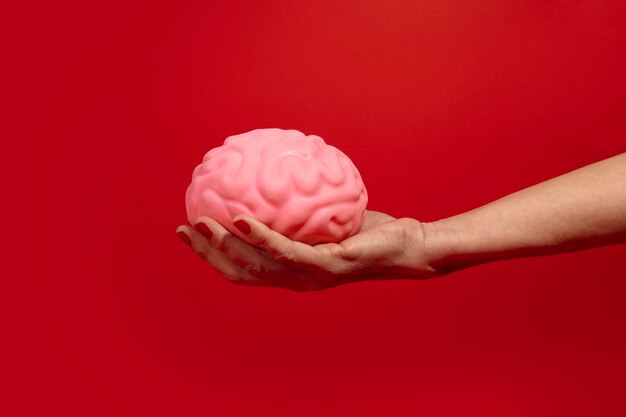 Bodegón con cerebro humano