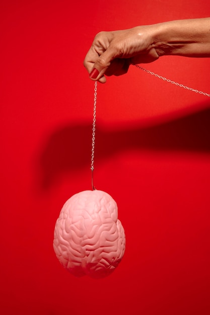 Bodegón con cerebro humano