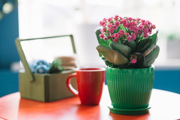 Bodegón con concepto de jardinería