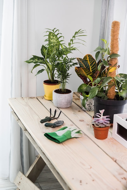 Bodegón con concepto de jardinería