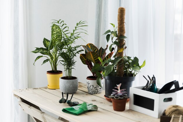 Bodegón con concepto de jardinería