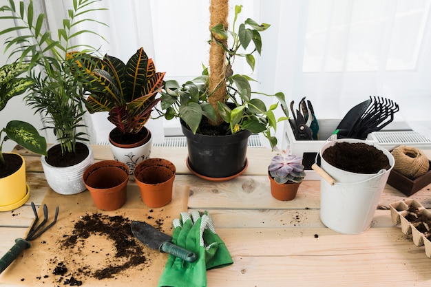 Bodegón con concepto de jardinería