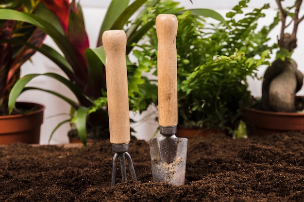 Bodegón con concepto de jardinería