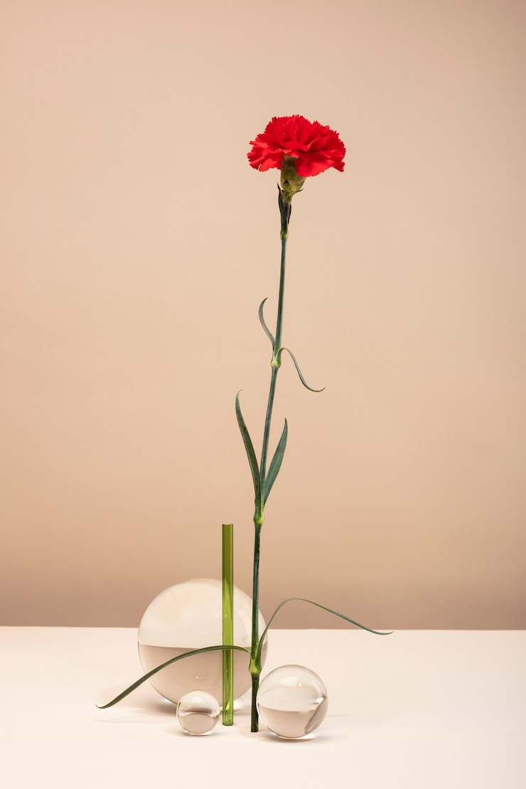 Foto gratuito bodegón con hojas y flores de colores