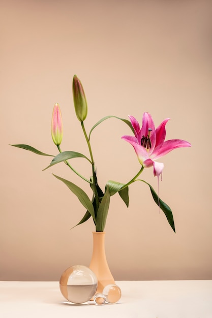 Foto gratuita bodegón con hojas y flores de colores