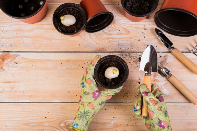 Bodegón con objetos de jardinería