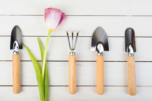 Foto gratuita bodegón con objetos de jardinería