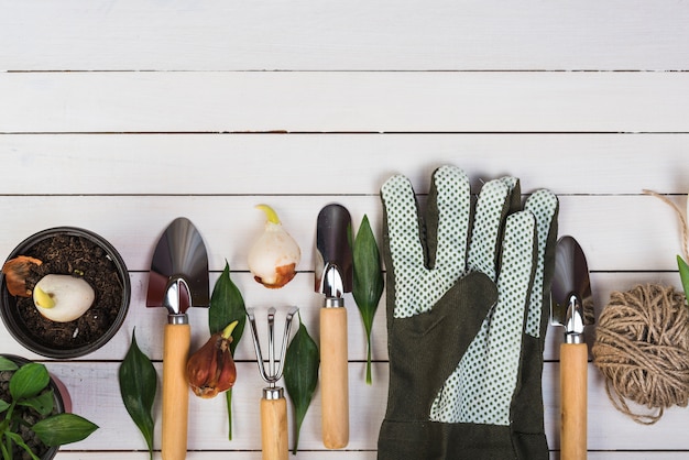 Foto gratuita bodegón con objetos de jardinería