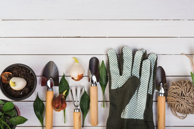 Bodegón con objetos de jardinería