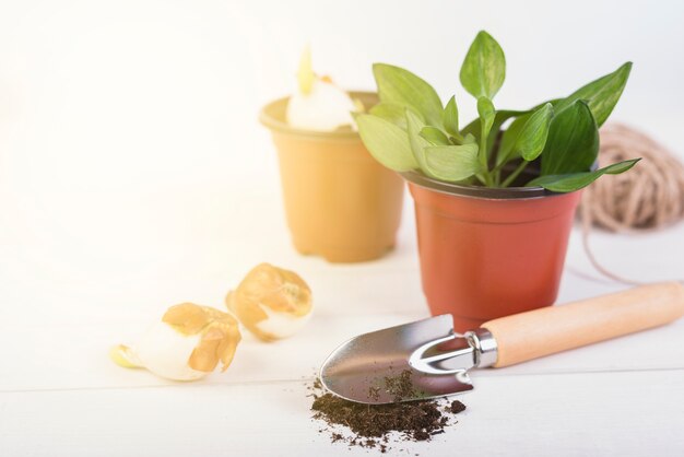 Bodegón con objetos de jardinería