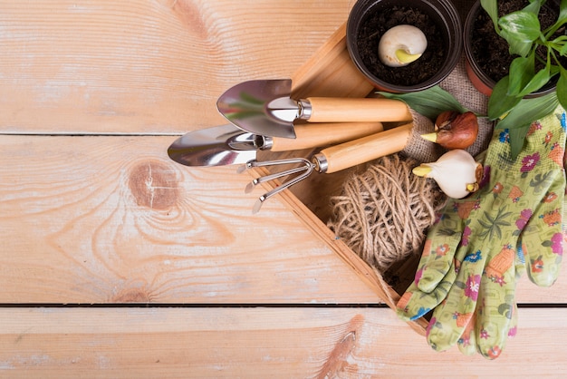 Foto gratuita bodegón con objetos de jardinería