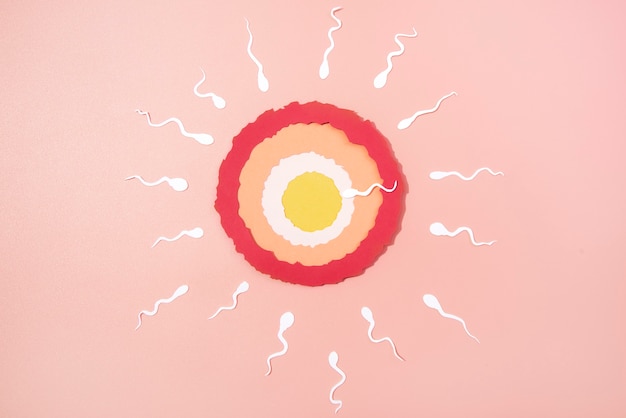 Bodegón ovario rodeado de espermatozoides