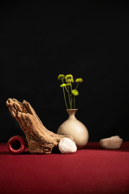 Foto gratuita bodegón con plantas deco.