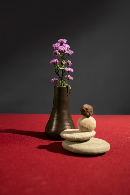 Foto gratuita bodegón con plantas deco.