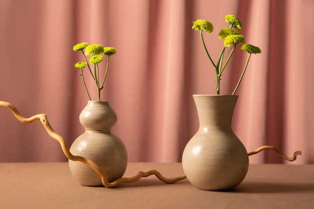 Bodegón con plantas deco.