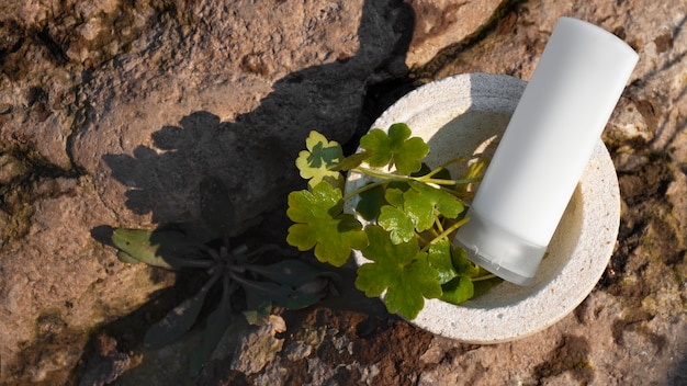 Bodegón de productos de belleza basados en agricultura regenerativa