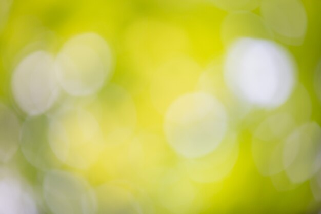 Bokeh verde en la naturaleza desenfoque. Elemento de diseño.