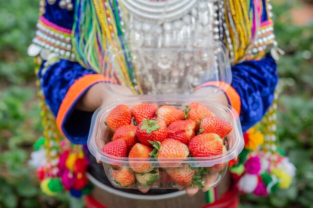 Bola de fresa en la caja.