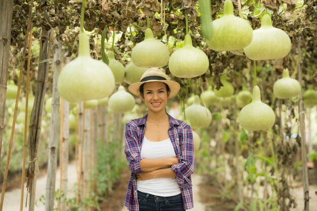 Bolas de calabaza grandes en granjas que cultivan verduras frías de invierno en Tailandia