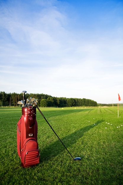 Bolsa con palos de golf