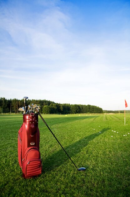 Bolsa con palos de golf