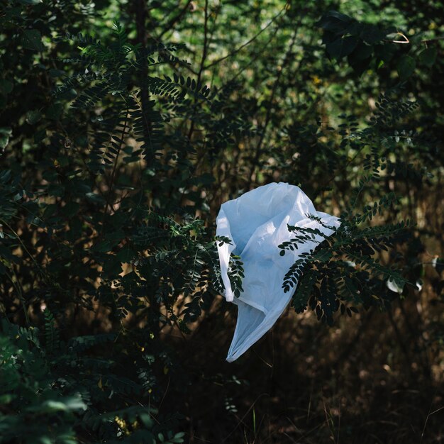 Bolsa de plástico blanca en la naturaleza