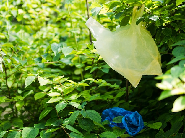 Bolsa de plástico que cuelga en la rama de un árbol en el jardín