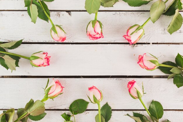 Bonita composición de rosas