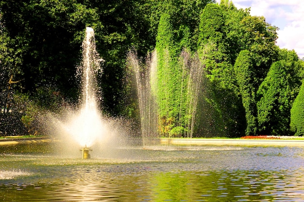 Bonita fuente con árboles frondosos de fondo