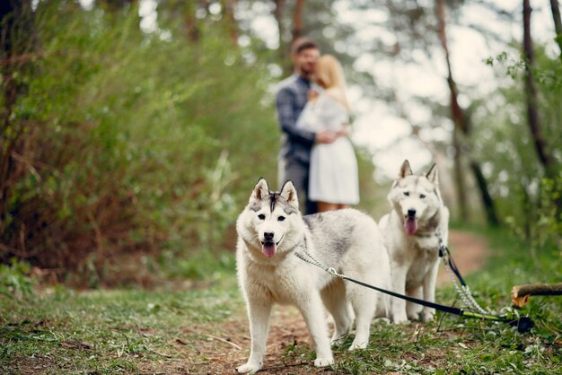 Bonita pareja en un bosque de verano con perros.