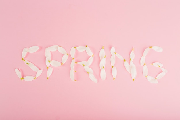 Foto gratuita bonita primavera escribiendo en rosa