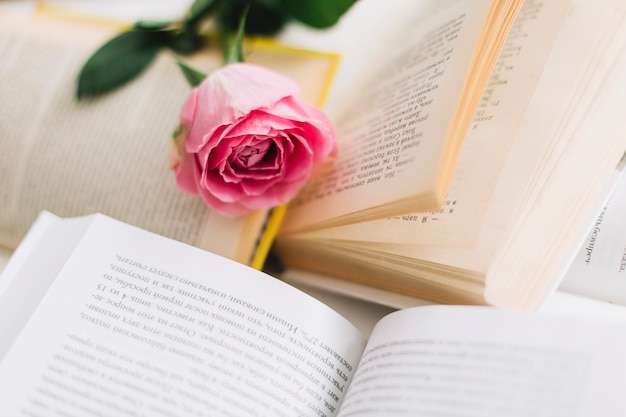 Bonita rosa en libros abiertos