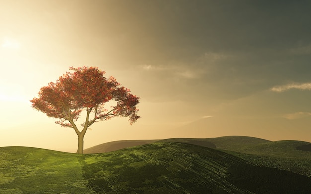 Bonito árbol en el campo