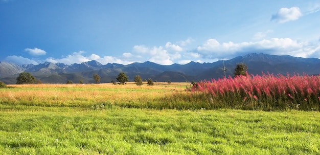 Bonito paisaje con vegetación y árboles